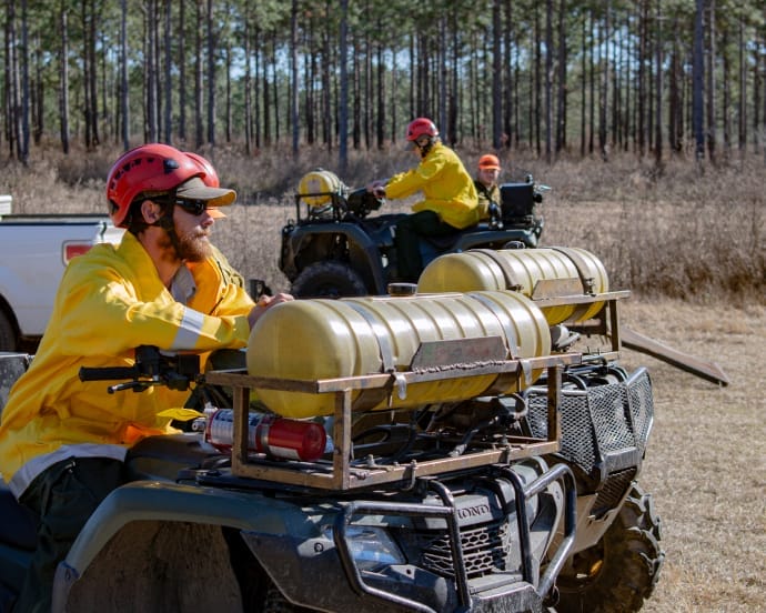 GA-Jobs Our Forests